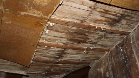 Death Inside - IMG_9418.jpg