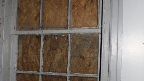 Fall 19' - myqfqIMG_8769.jpg