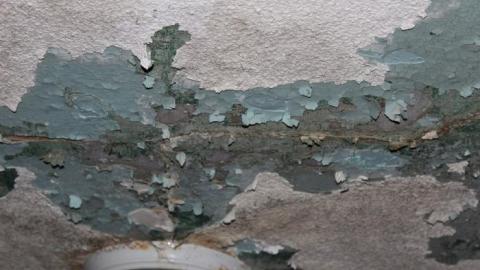 Fall 19' - slbxxIMG_8771.jpg