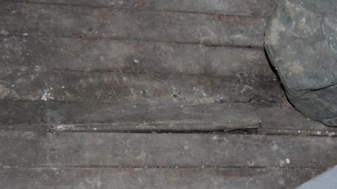 Fall 19' - qztleIMG_8772.jpg