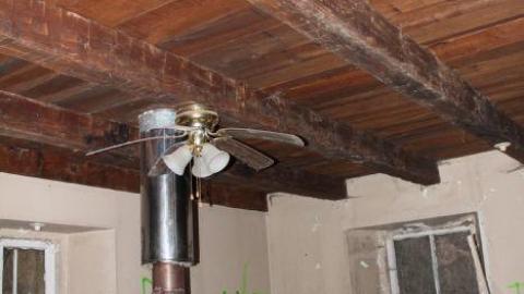 Fall 19' - tpkkyIMG_8778.jpg