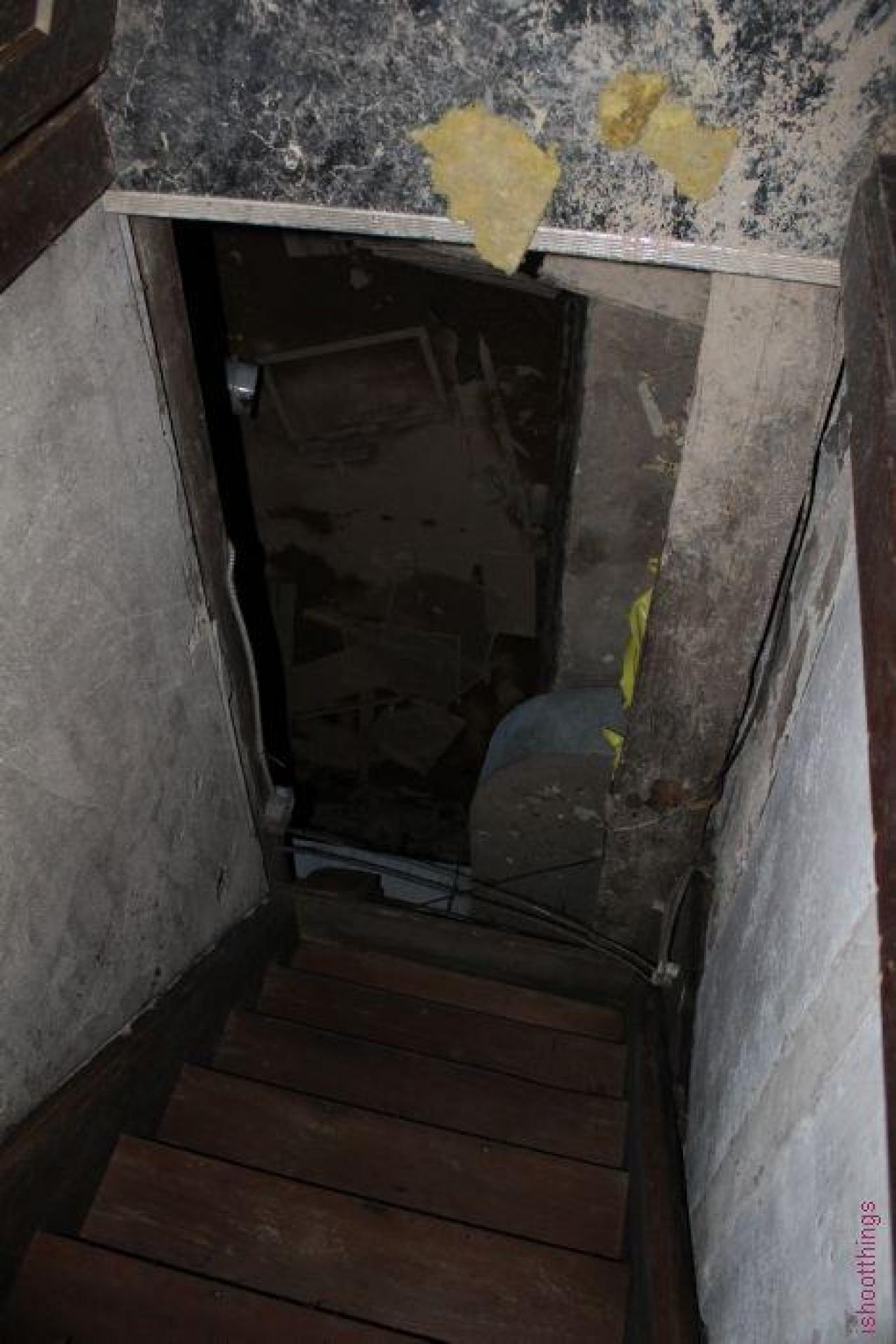 Fall 19' - fscrgIMG_8783.jpg