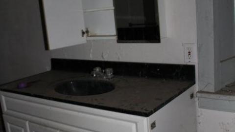 Fall 19' - obeyjIMG_8786.jpg