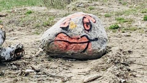 May 2020 - D51477E0-407F-410D-9086-67958C.jpg