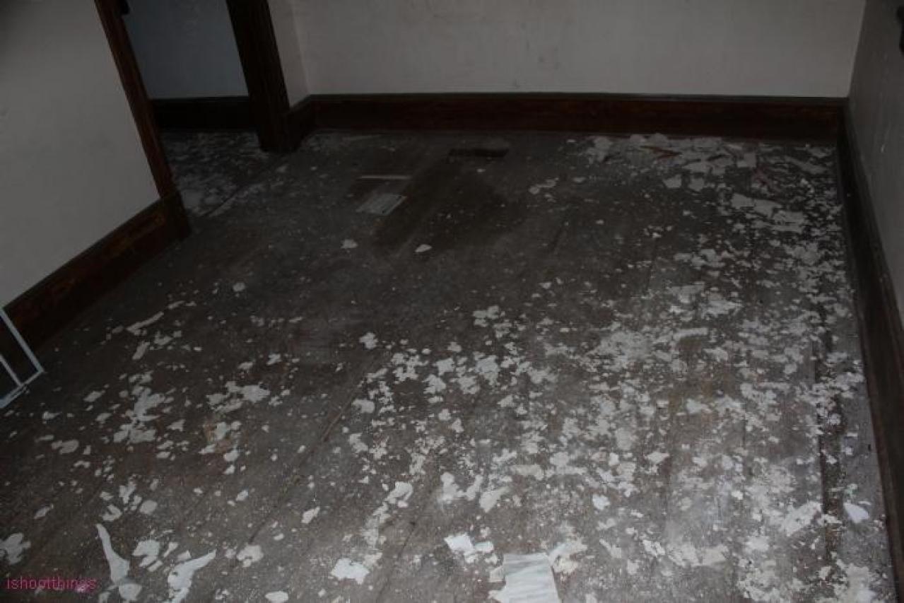 Fall 19' - IMG_8789.jpg