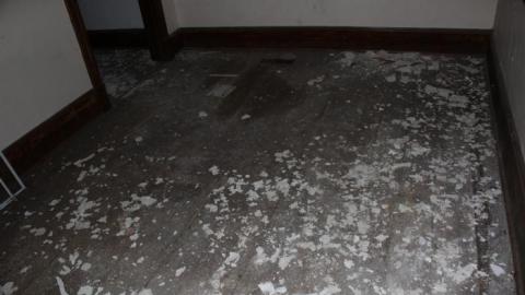 Fall 19' - IMG_8789.jpg