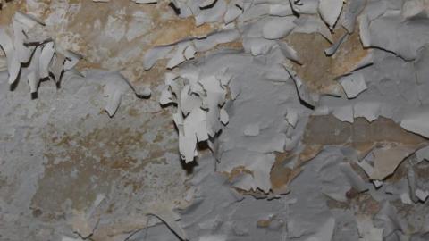 Fall 19' - IMG_8792.jpg