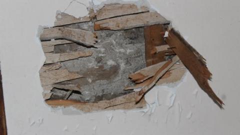 Fall 19' - IMG_8801.jpg