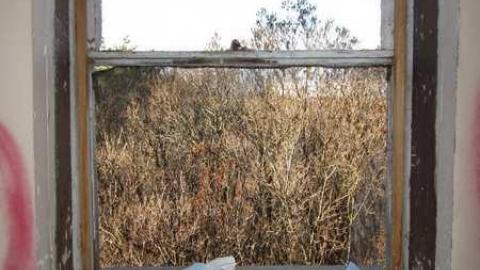 Inside - Graffiti-House26.jpg