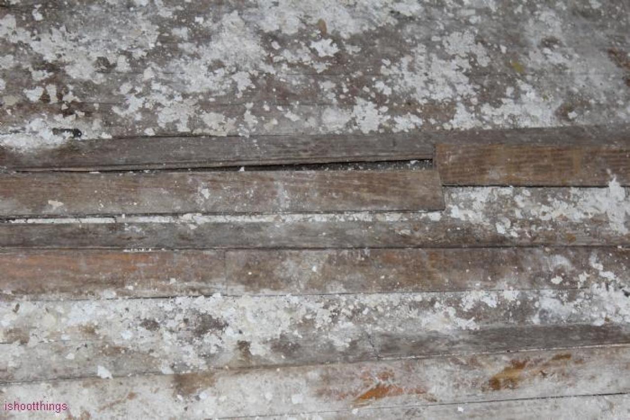 Fall 19' - eevesIMG_8805.jpg