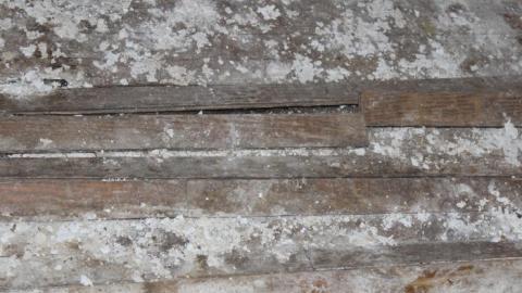 Fall 19' - eevesIMG_8805.jpg