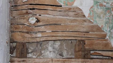 Fall 19' - IMG_8826.jpg