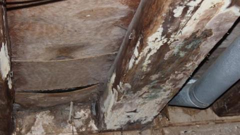 Fall 19' - fxvwoIMG_8844.jpg