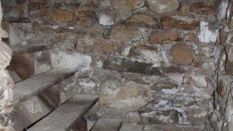 Fall 19' - jvzegIMG_8846.jpg