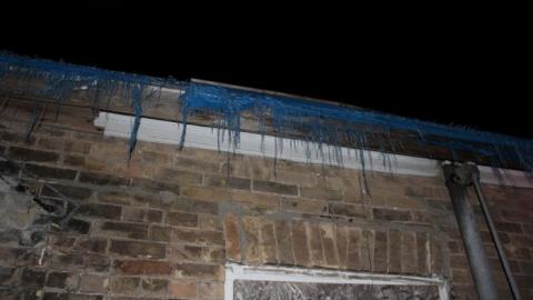 Fall 19' - nguggIMG_8851.jpg