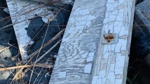 Welcome Motel - 5E22E005-339D-4129-BED1-336A8E.jpg