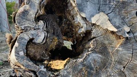 Welcome Motel - AE62ED28-405C-4E0B-9E0C-78E7C9.jpg