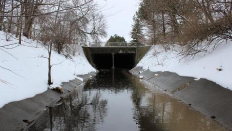 The wonder & the 1st junction - IMG_4685.jpg