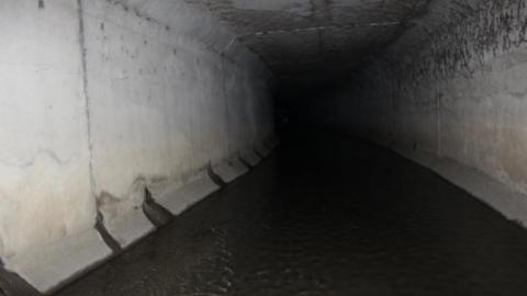 The Hidden Wonder Of Victoria Park - Kitchener, Ontario