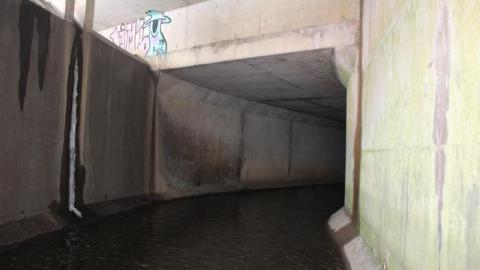 The wonder & the 1st junction - IMG_4703.jpg