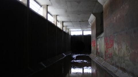 The wonder & the 1st junction - IMG_4757.jpg