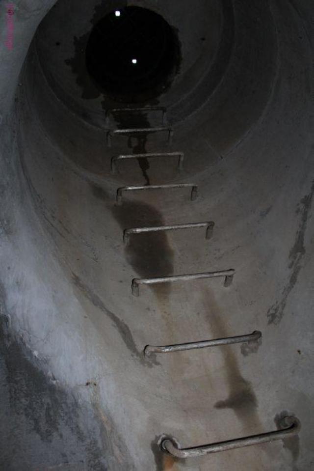 The Hidden Wonder Of Victoria Park photo 5