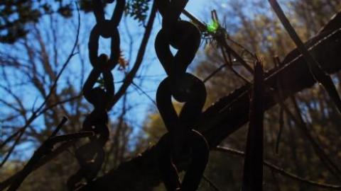 MAY 2020 - 0B7D7222-3BE8-49A0-B637-501A21.jpg