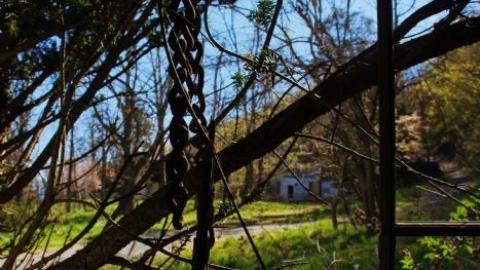 MAY 2020 - 4C8B378A-31C8-4211-B5D8-A31C8C.jpg