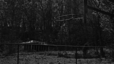 MAY 2020 - 5BB93255-D053-4A2E-82F7-4B6021.jpg