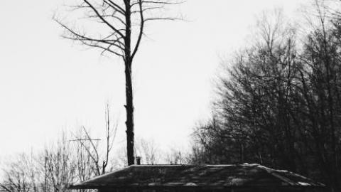 MAY 2020 - 141D212E-223A-4BAD-B380-B79868.jpg