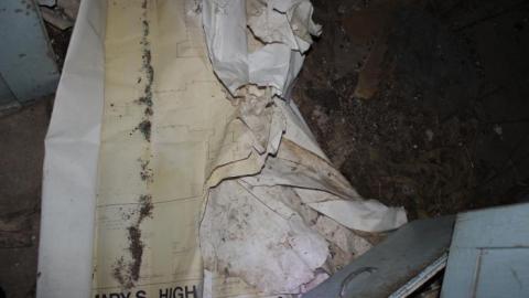 Winter sunset Dec 19' - ywIMG_1717.jpg