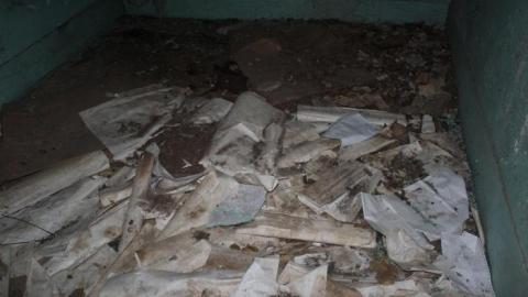 Winter sunset Dec 19' - ypIMG_1718.jpg