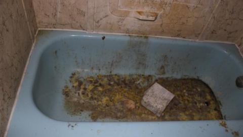 Sept 12 2019 - ysIMG_9055.jpg