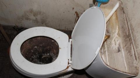 Sept 12 2019 - ipIMG_9460.jpg