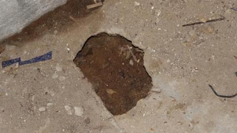 Sept 12 2019 - bcIMG_9470.jpg