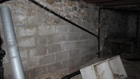 Sept 12 2019 - wfIMG_9482.jpg