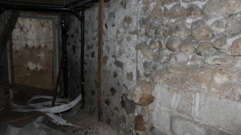 Sept 12 2019 - hiIMG_9483.jpg