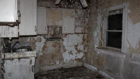 Mid March 20' - IMG_5389.jpg