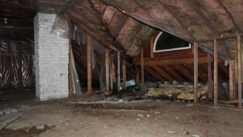 Mid March 20' - IMG_5412.jpg