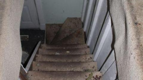 Mid March 20' - IMG_5416.jpg