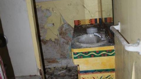 Mid March 20' - IMG_5424.jpg