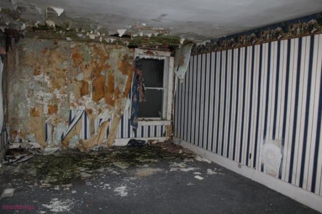 That House Next Door To Preston Springs photo 3