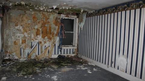 That House Next Door To Preston Springs photo 3