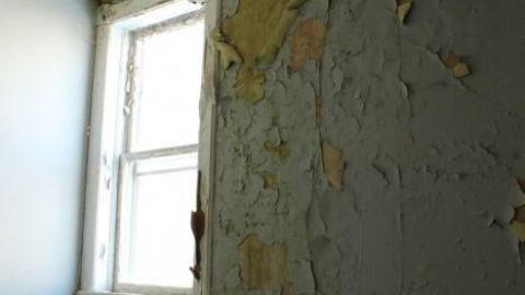 Mid March 20' - IMG_5479.jpg