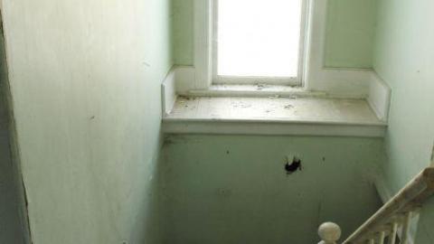 Mid March 20' - IMG_5516.jpg