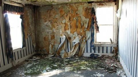 Mid March 20' - wzIMG_5512.jpg