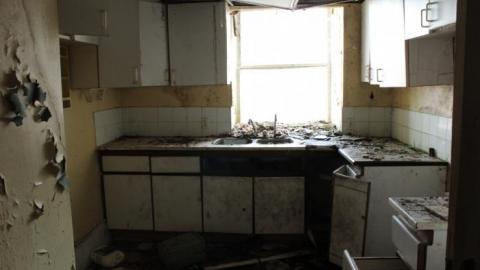 Mid March 20' - IMG_5530.jpg