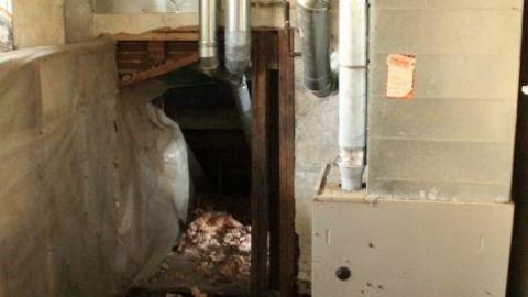 Mid March 20' - IMG_5541.jpg