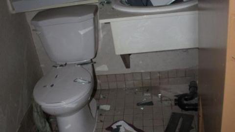 Mar 20/20' - IMG_5684.jpg