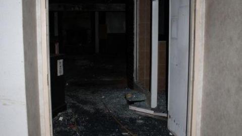 Mar 20/20' - IMG_5691.jpg